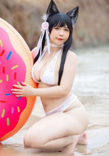 后宫露营樱花